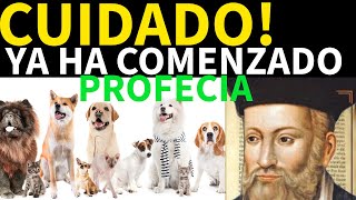 Lo Que Nostradamus Predijo Para Quienes Tienen PERRO EN CASA Profecías Reveladas [upl. by Ylurt]