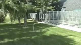 Dog Kennel Designing and Building a with a Concrete Floor [upl. by Nerot]