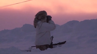 Shotgunning Coyotes With No Calling 30 Below Wind Chill and Deep Snow [upl. by Quent43]