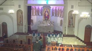 St Mary Badarak Service November 3 2024 [upl. by Ennelram559]