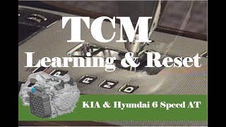 TCM Learning and Adaptive Value Reset [upl. by Shifra]