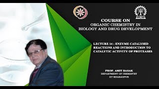 Lecture 14  Enzyme catalysed reactions and introduction to catalytic activity of proteases [upl. by Annoyk]