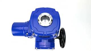 Stainless Steel Ball Valve ElephantBVсFP316200 PSI232 [upl. by Alekin]