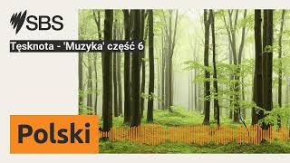 Tęsknota  Muzyka część 6  SBS Polish  SBS po polsku [upl. by Aisatsana]