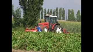 SUGAR BEET DEFOLIATOR  DEFOGLIATRICE PER BARBABIETOLEWMV [upl. by Norrehc]