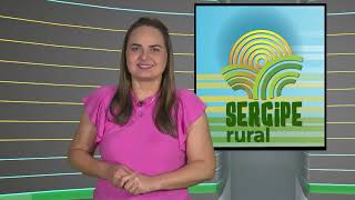 SERGIPE RURAL  PROGRAMA 482 [upl. by Lehcin]