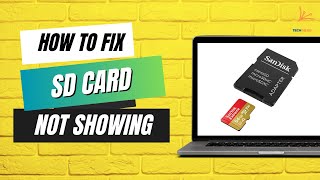 How to Fix All Problem of SD Card Not Showing Not Working Need to Format Disk in Windows PC [upl. by Aisatal]