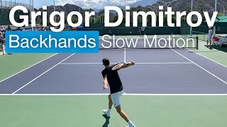 Grigor Dimitrovs OneHanded Backhands in Slow Motion  Court Level Tennis Practice [upl. by Anidal]