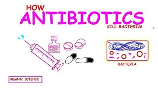 Antibiotics Explained How They Kill Bacteria and Fight Infectionsquot [upl. by Anitsyrc]