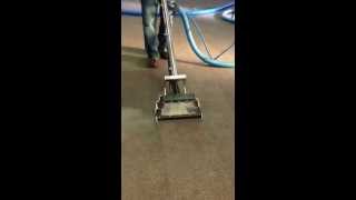 Carpet cleaning satisfying ocd cleaning Turlock [upl. by Brenda]