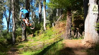 The mountain bike trail jumps around Melbourne [upl. by Giffard834]