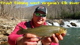 Trout Fishing West Virginias Elk River [upl. by Oslec723]