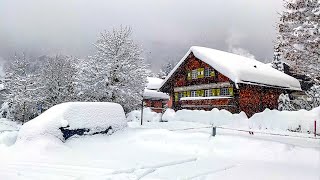 Heavy snowfall in Klosters ❄️ Switzerland 4K 🇨🇭 [upl. by Rickey585]