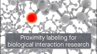 Proximity labeling A revolutionary technique for studying biological interactions [upl. by Aiem]