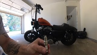 How To Change Spark Plugs Harley Sportster 48 [upl. by Zeena]