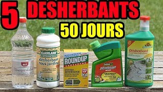 5 DESHERBANTS TEST VINAIGRE BLANC LIDL ROUNDUP SOLABIOL CLAIRLAND NEUDORFF GROS SEL [upl. by Natan]