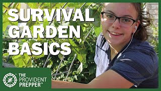 How to Grow Food Inside Your Home and in Your Own Backyard [upl. by Brian485]