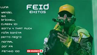 FEID EXITOS ENGANCHADOS [upl. by Aikkin206]