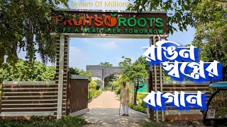 Kalyan Nursery Plant nursery in Baharampur KasimBazar [upl. by Riamo976]