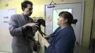 Borat deleted scene  Dog Pound [upl. by Almena]