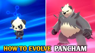 How To Evolve Pancham Into Pangoro In Pokemon Sword amp Shield  Galar Pokedex [upl. by Anaz488]