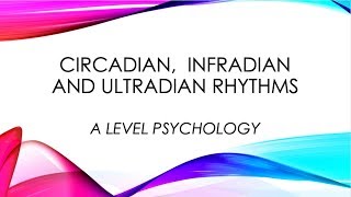 A LEVEL PSYCHOLOGY  CIRCADIAN INFRADIAN AND ULTRADIAN RHYTHMS [upl. by Erl]