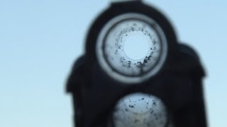 Digweed pigeon shooting with warm cartridges [upl. by Heall279]