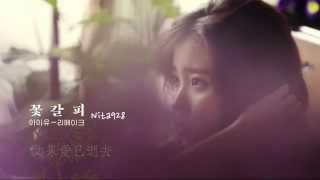 中字  IU  如果愛已逝去사랑이 지나가면When a Love Passes [upl. by Wendeline]