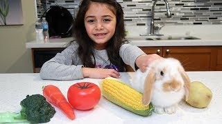 Kids Play with Food Toys HZHtube kids fun [upl. by Hurleigh28]