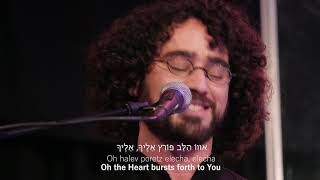 Praises Of Israel  Halev PoretzThe Heart Bursts ForthLive [upl. by Ablasor518]