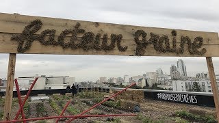 Parisculteurs  devenir agriculteur sur les toits de Paris [upl. by Anilra]