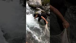 Net Fishing in Crowded Stream  Unexpected No Catch in Fast Water Adventure fishing ytshorts [upl. by Shaffer]