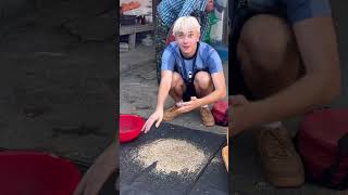 Making sesame seeds 🇰🇷 [upl. by Coffee]