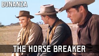 Bonanza  The Horse Breaker  Episode 76  Full Length Western Series  English [upl. by Rowney747]