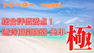 【特別映像】多通貨相関分析＆マルチタイムフレーム分析でトレード成績をUP↑ matti氏 [upl. by Anahsek]