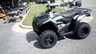 2017  Kawasaki Brute Force® 300 [upl. by Eirolav]