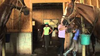 Cash Lovell Stables The Parents Point of View [upl. by Yespmed615]