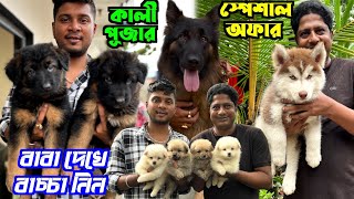 GSD Husky amp Culture Pom Puppies Sell Dog Market in Kolkata Price Kolkata Dog Market [upl. by Nnaael31]