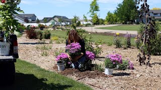 Adding Phlox Astilbe and Calycanthus to the Garden 🌿🌸  Garden Answer [upl. by Ehcor]