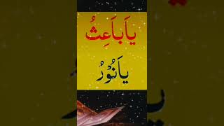 explore amal amallah motivation amalforlove urdu amaal funny love dolatkibarishkawazifa [upl. by Aicilef]