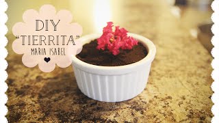 DIY  quotTierritaquot Dessert [upl. by Augustina445]