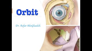 Anatomy of Orbit [upl. by Ylremik]