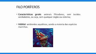 Zoologia dos invertebrados [upl. by Calderon403]