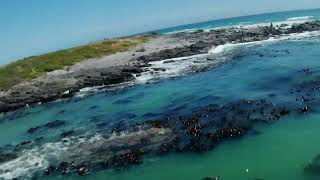 FPV Grotto Bay Cape Town South Africa [upl. by Tertias986]