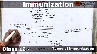 Immunization in hindi ll biology ll [upl. by Llerret]