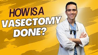 How is A Vasectomy Done [upl. by Elva]