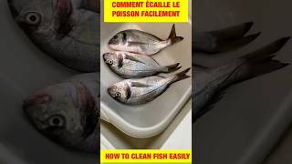 shorts Astuce comment écailler le poisson facile 🐠 Lifehack on how to easily clean fish [upl. by Namrehs]