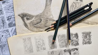 Mastering Pencil Techniques A Guide to Texture Shading and Depth [upl. by Burch96]