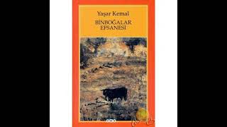 Yaşar kemal🌺Binboğalar efsanesi🌺 PART 11 roman seslikitap yaşarkemal чтение [upl. by Wonacott]