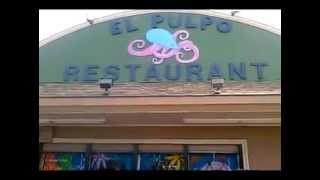 el pulpo restaurant en Pleasant Grove Dallas Tx [upl. by Romie381]